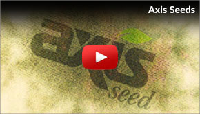 axis_seeds